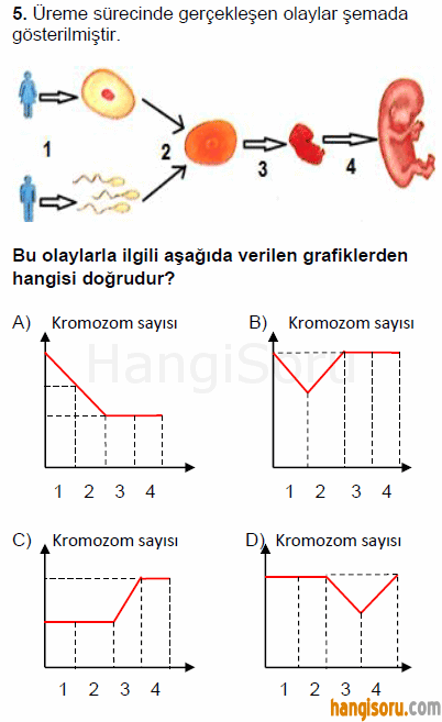 Soru 5