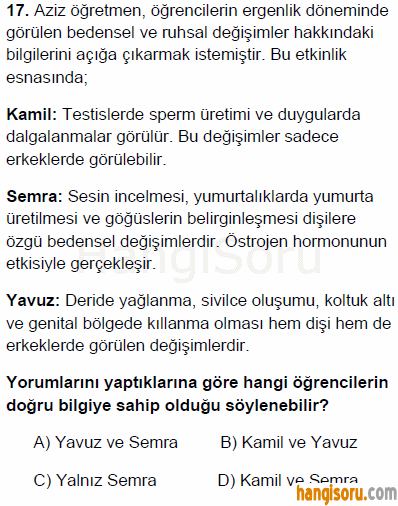 Soru 17