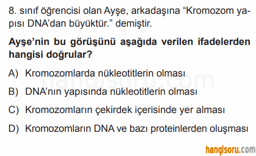 Soru 1