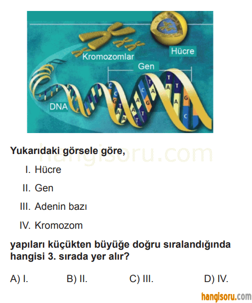 Soru 2