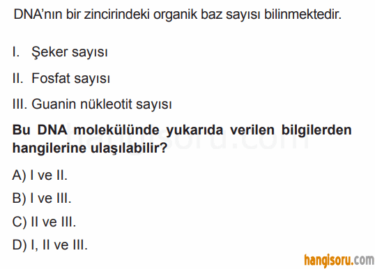 Soru 4