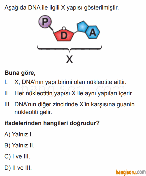 Soru 7