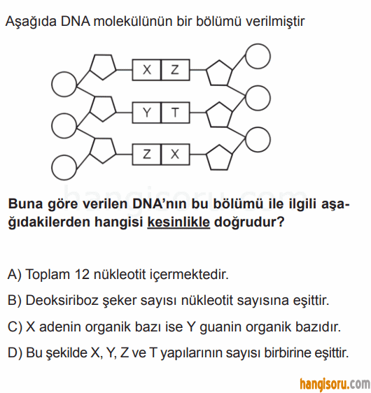 Soru 10