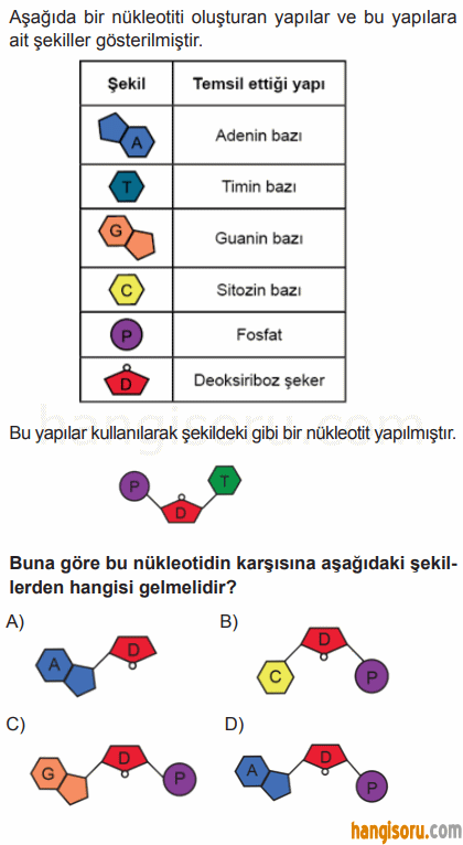 Soru 1