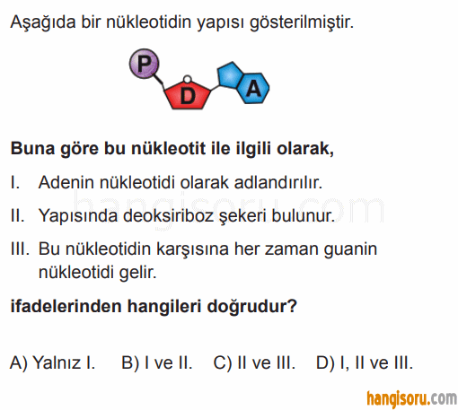Soru 2