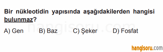 Soru 4