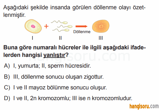 Soru 6