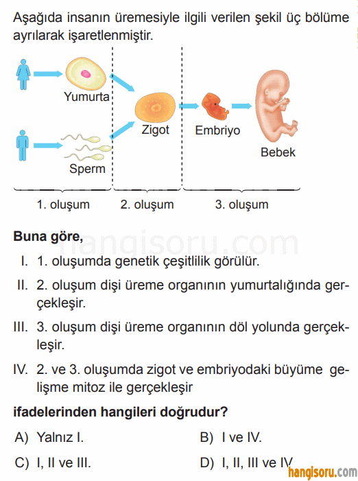 Soru 3