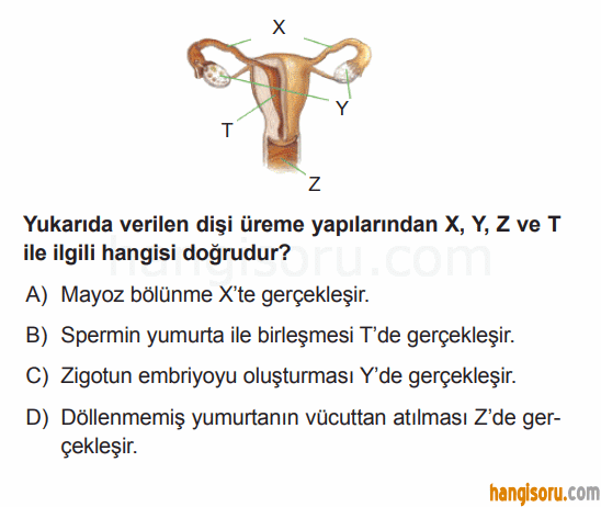 Soru 4