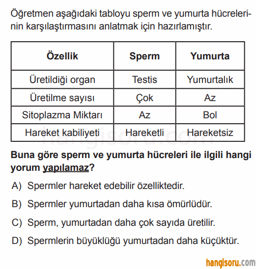Soru 7
