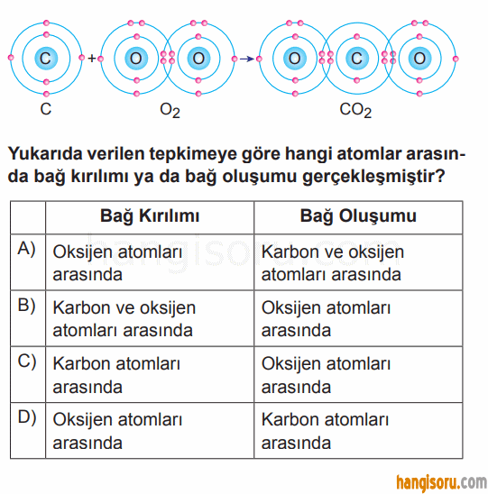 Soru 11