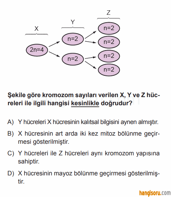 Soru 5