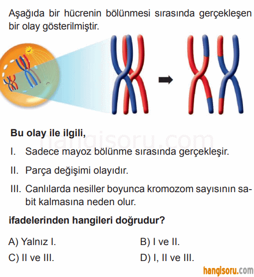 Soru 6