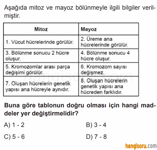 Soru 7