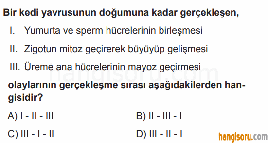 Soru 11