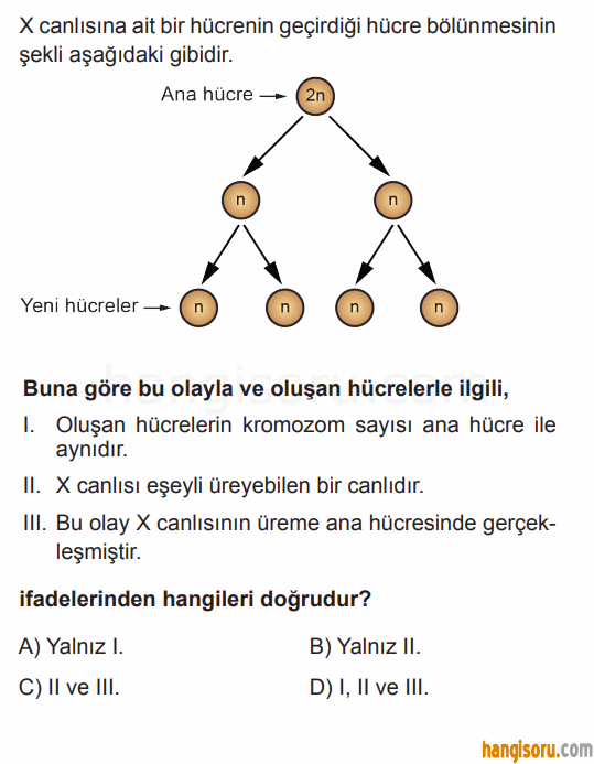 Soru 4