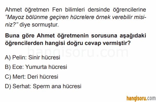 Soru 5