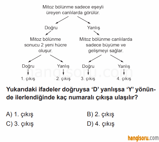 Soru 1