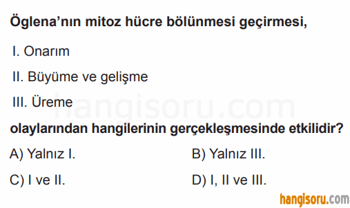 Soru 2