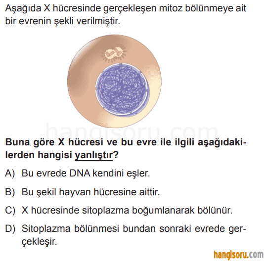 Soru 4