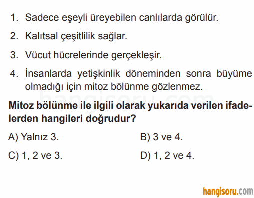 Soru 8