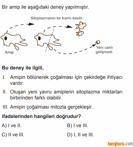 Soru 10