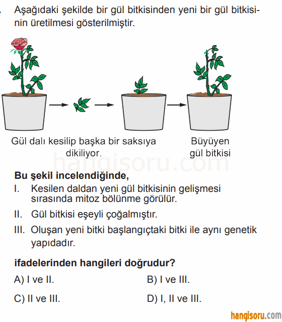 Soru 4
