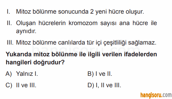 Soru 5