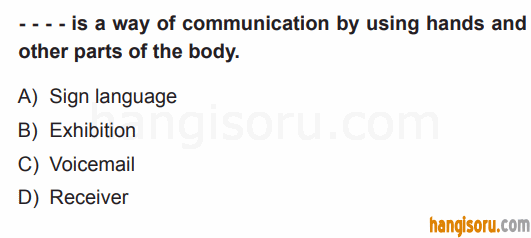 Soru 3