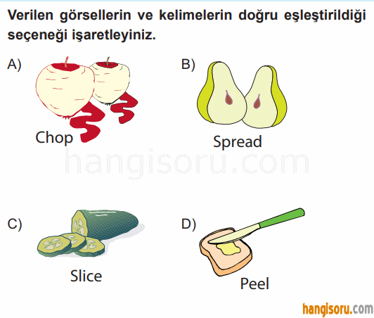 Soru 10