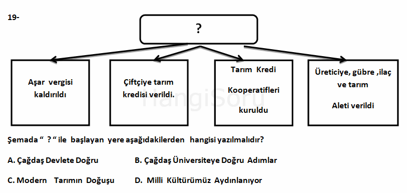 Soru 19