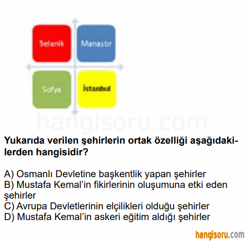 Soru 7