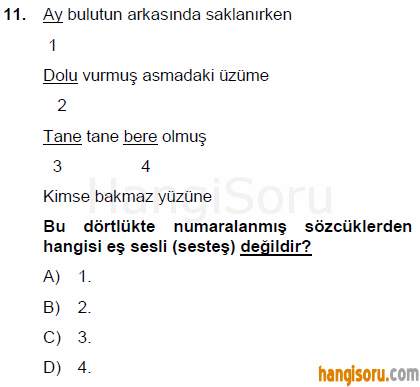 Soru 11