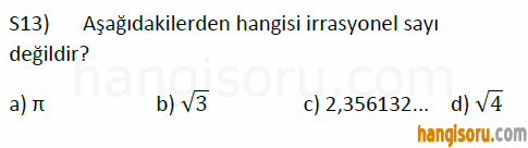 Soru 13