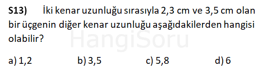 Soru 13
