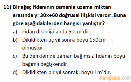 Soru 11