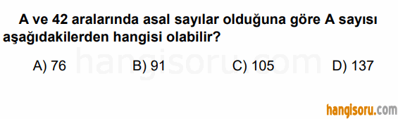 Soru 3