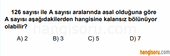 Soru 6