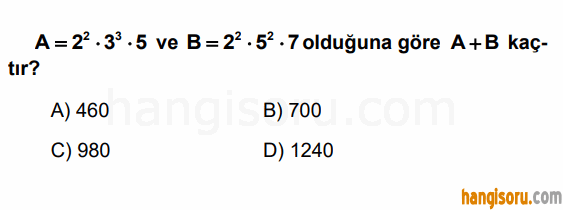 Soru 8