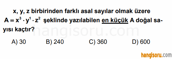 Soru 11