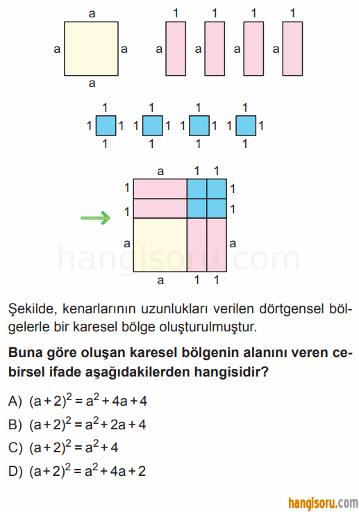 Soru 8