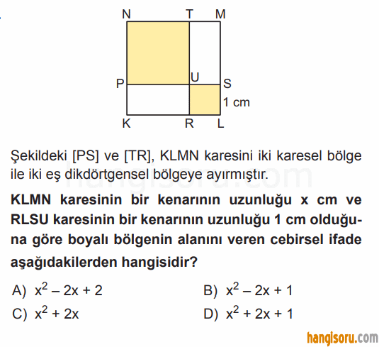 Soru 11