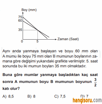 Soru 11
