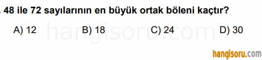 Soru 1