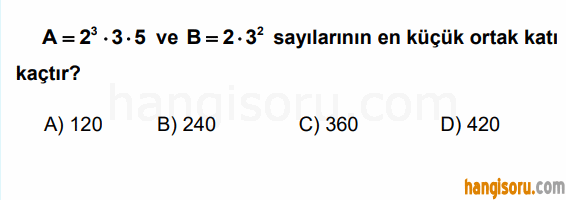Soru 5