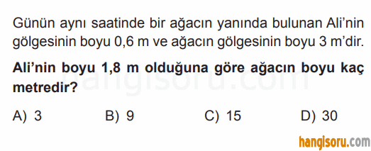 Soru 3