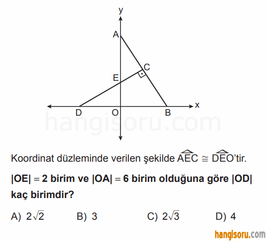 Soru 8