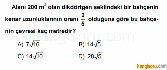 Soru 8