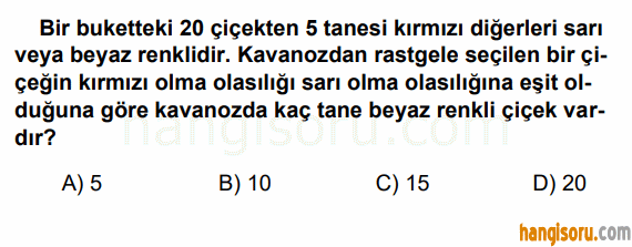 Soru 8