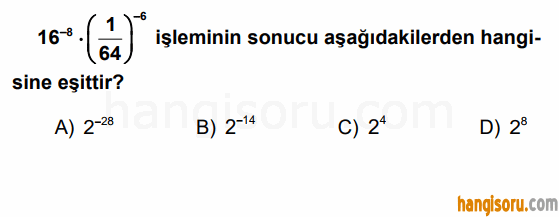 Soru 7